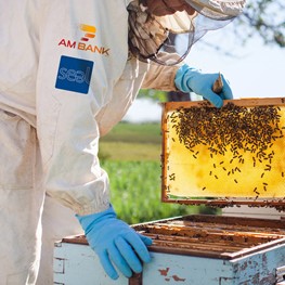 AM Bank supports Beekeeping in Lebanon